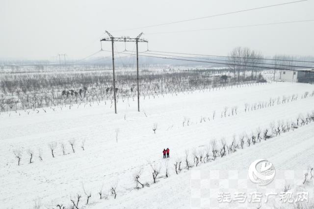 国网平舆县供电公司：踏雪破冰护电网  寒潮逆行保民生